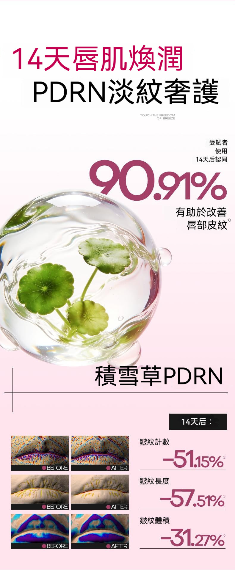 春日限定，MISTINE，雙頭唇釉，14天唇紋減少29.23%